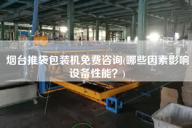 煙臺(tái)推袋包裝機(jī)免費(fèi)咨詢(xún)(哪些因素影響設(shè)備性能？)