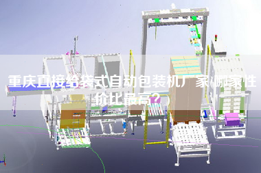 重慶直接給袋式自動包裝機廠家(哪家性價比z高？)
