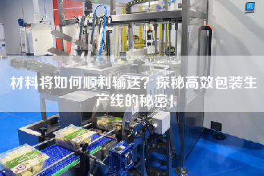 材料將如何順利輸送？探秘高效包裝生產(chǎn)線的秘密！