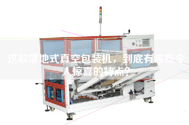 這款落地式真空包裝機(jī)，到底有哪些令人驚喜的特點(diǎn)？