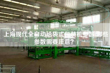 上?，F(xiàn)代全自動(dòng)給袋式包裝機(jī)參數(shù)(哪些參數(shù)需要注意？)