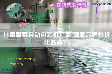甘肅蔬菜自動包裝機廠家(哪家品牌性價比z高？)