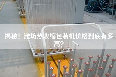 揭秘！濰坊熱收縮包裝機(jī)價格到底有多高？