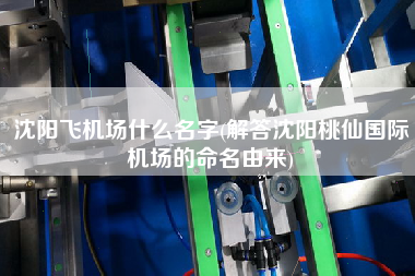 沈陽(yáng)飛機(jī)場(chǎng)什么名字(解答沈陽(yáng)桃仙國(guó)際機(jī)場(chǎng)的命名由來)