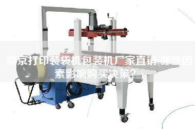 南京打印裝袋機(jī)包裝機(jī)廠家直銷(哪些因素影響X決策？)