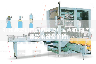 打印裝袋機(jī)自動包裝袋廠家直銷(哪些因素影響設(shè)備價格)