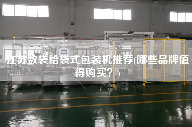 江蘇數(shù)袋給袋式包裝機推薦(哪些品牌值得X？)