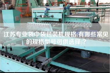 江蘇專業(yè)袋中袋包裝機規(guī)格(有哪些常見的規(guī)格型號可供選擇)？