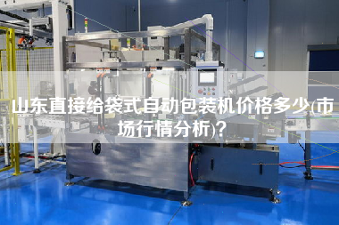 山東直接給袋式自動(dòng)包裝機(jī)價(jià)格多少(市場行情分析)？