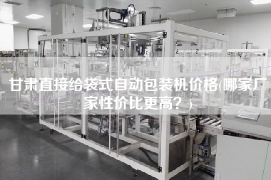 甘肅直接給袋式自動(dòng)包裝機(jī)價(jià)格(哪家廠家性價(jià)比z高？)