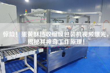 驚險！蛋黃酥熱收縮膜包裝機視頻曝光，揭秘其神奇工作原理！