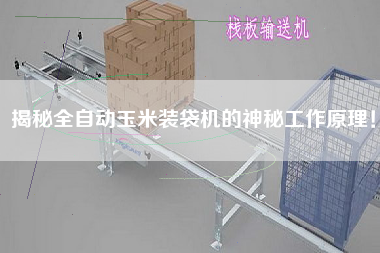 揭秘全自動玉米裝袋機的神秘工作原理！