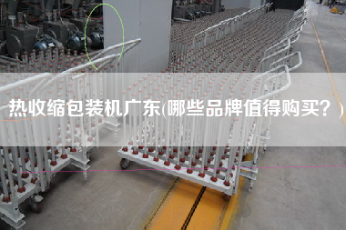 熱收縮包裝機(jī)廣東(哪些品牌值得X？)
