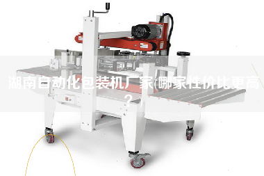 湖南自動化包裝機(jī)廠家(哪家性價比z高？)