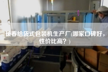 長春給袋式包裝機生產(chǎn)廠(哪家口碑好，性價比高？)