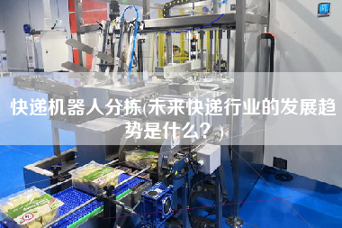 快遞機器人分揀(未來快遞行業(yè)的發(fā)展趨勢是什么？)