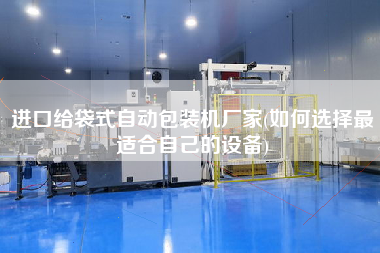 進(jìn)口給袋式自動包裝機(jī)廠家(如何選擇z適合自己的設(shè)備)