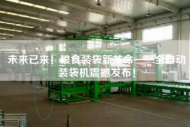 未來已來！糧食裝袋新革命——全自動裝袋機震撼發(fā)布！