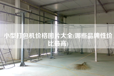 小型打包機(jī)價(jià)格圖片大全(哪些品牌性價(jià)比z高)