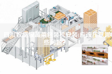 四川收縮膜蔬菜包裝機安裝(應(yīng)該注意哪些問題？)