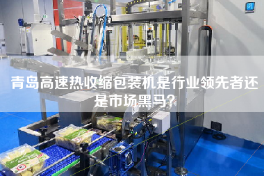 青島高速熱收縮包裝機(jī)是行業(yè)領(lǐng)先者還是市場(chǎng)黑馬？
