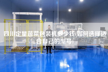 四川定量蔬菜包裝機(jī)多少錢(如何選擇適合自己的型號)