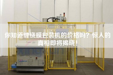 你知道纏繞膜包裝機的價格嗎？驚人的真相即將揭曉！