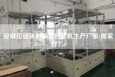 安徽拉鏈袋給袋式包裝機生產(chǎn)廠家(哪家好？)