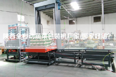 陜西全自動蔬菜包裝機廠家(哪家好用？)