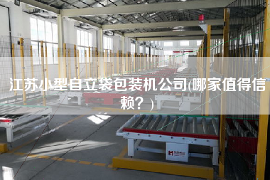 江蘇小型自立袋包裝機公司(哪家值得信賴？)