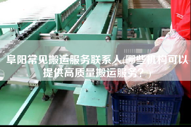 阜陽常見搬運服務聯(lián)系人(哪些機構可以提供高質(zhì)量搬運服務？)