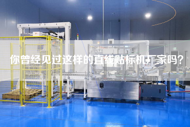 你曾經見過這樣的直線貼標機廠家嗎？