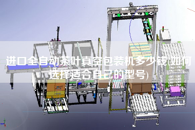 進(jìn)口全自動茶葉真空包裝機(jī)多少錢(如何選擇適合自己的型號)